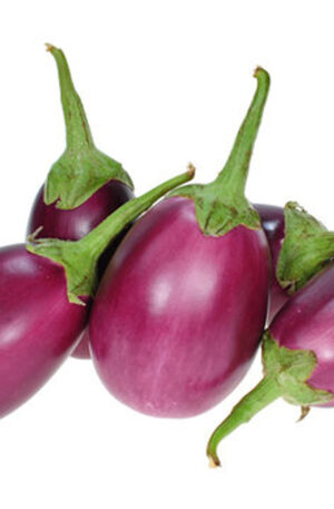 भट्टा / बैंगन