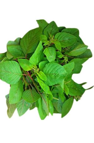 हरा साग फ्रेश