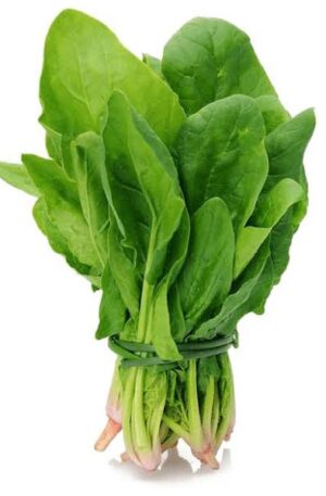 पालक फ्रेश