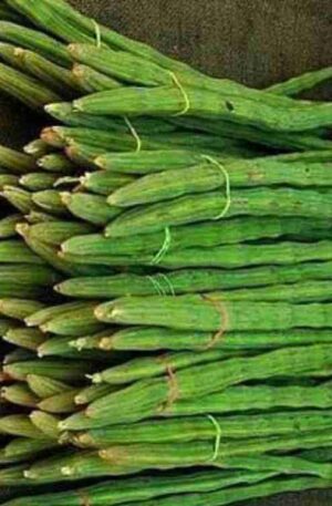 सहजन / सोजीना