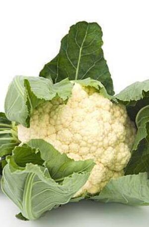 फूल गोभी