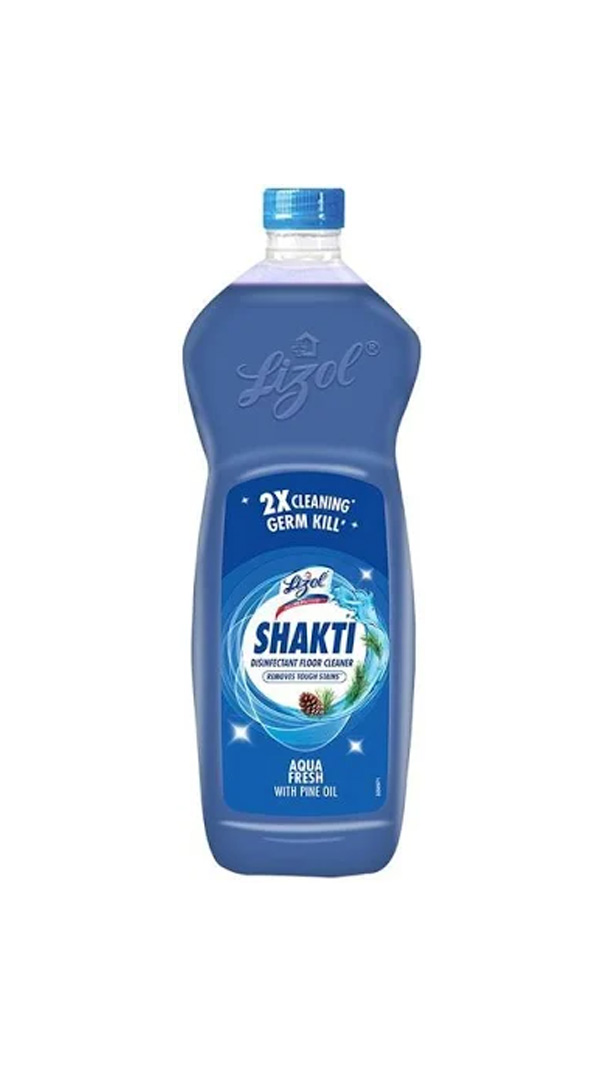 Lizol SHAKTI DISINFECT FLOOR CLEANER 450 ml